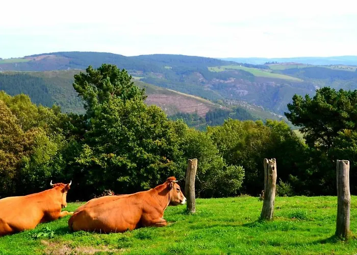 Apartamento La Corrada